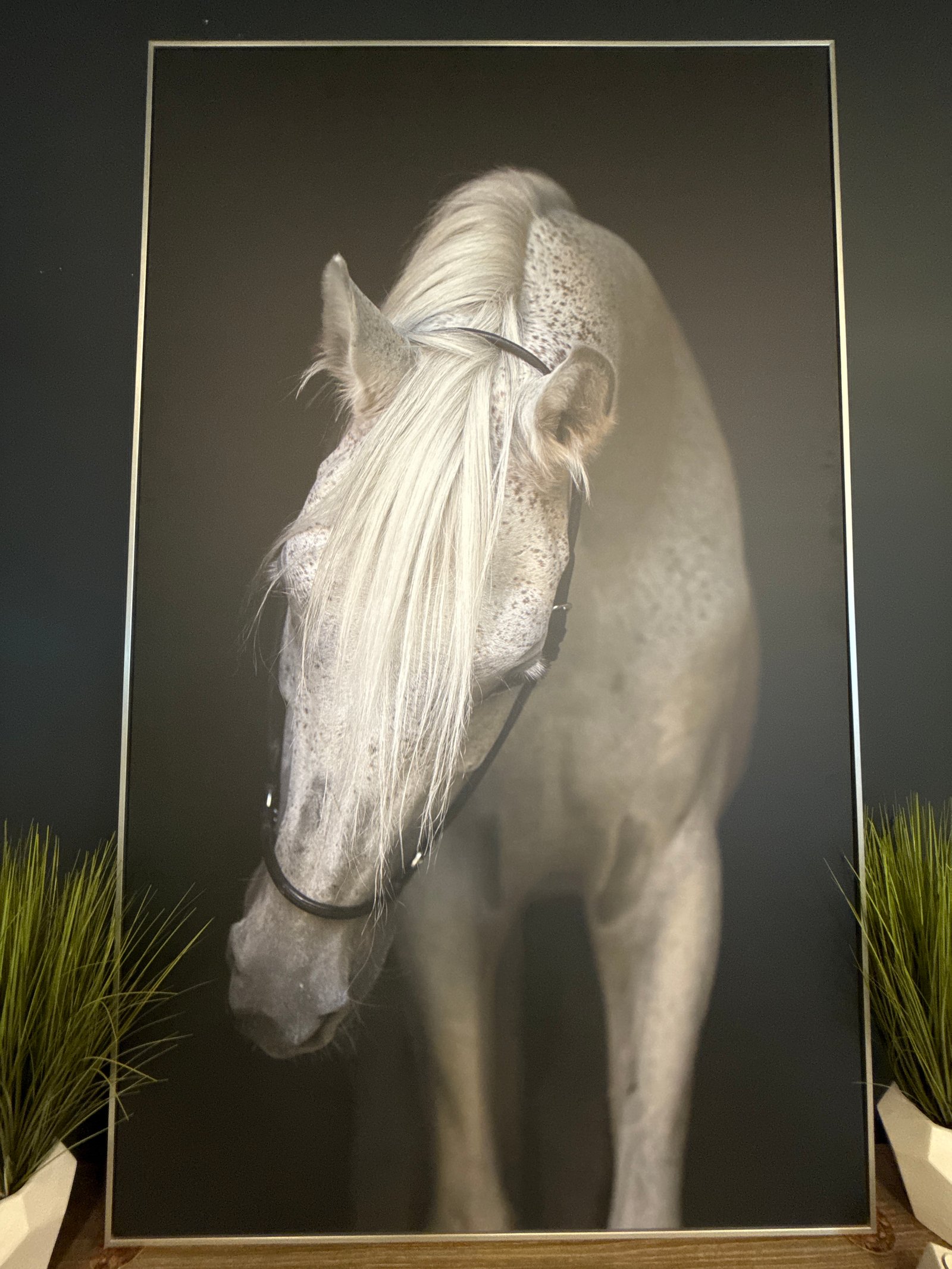 Wall Art Horse